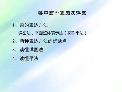 梁平面布置图及详图(很好很实用的)