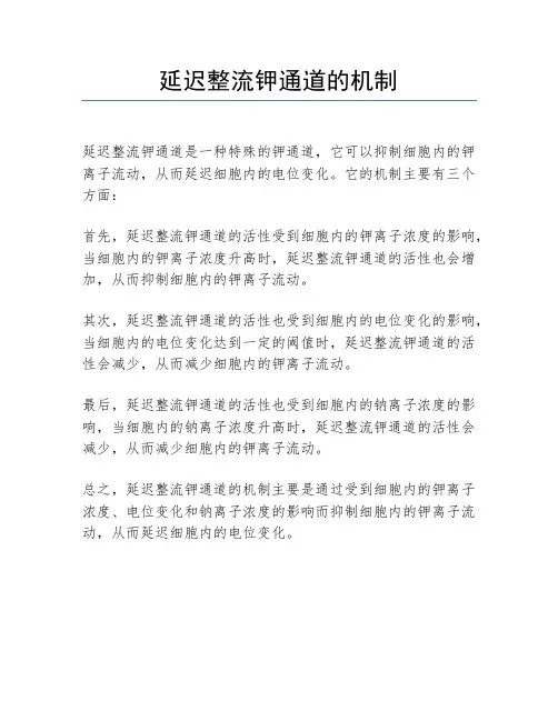 延迟整流钾通道的机制