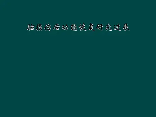 脑损伤后功能恢复研究进展