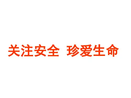 小学安全教育主题班会《关注安全 珍爱生命》课件