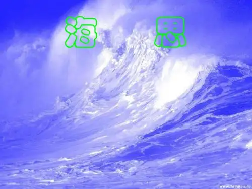 鄂教版八年级语文(上 )《海思》课件(51张PPT)