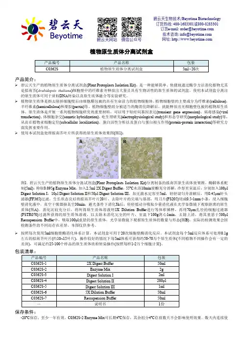 碧云天植物原生质体分离试剂盒产品说明书