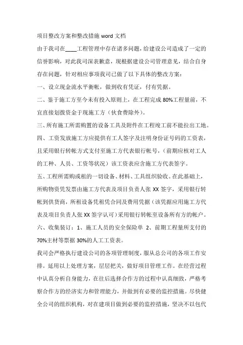项目整改方案和整改措施word文档
