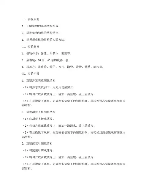 观察植物结构实验报告