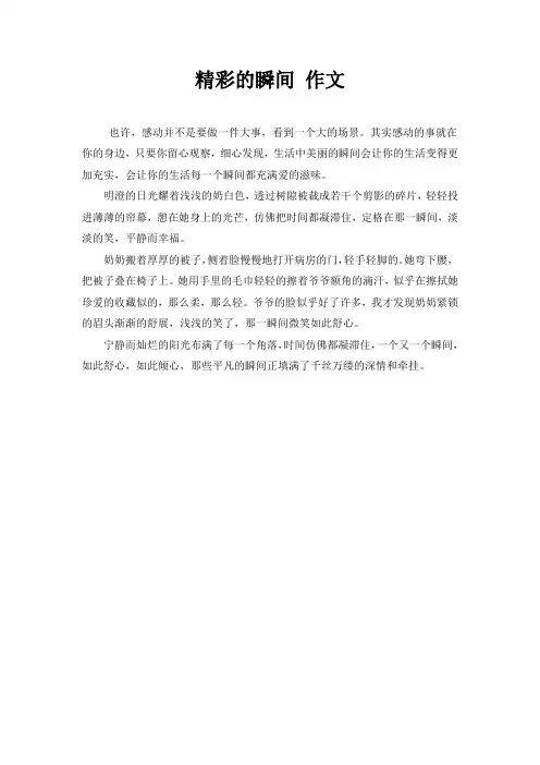 精彩的瞬间 作文