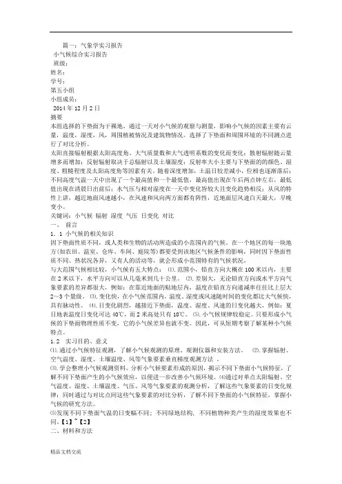 气象学实习报告总结