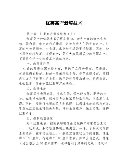 红薯高产栽培技术