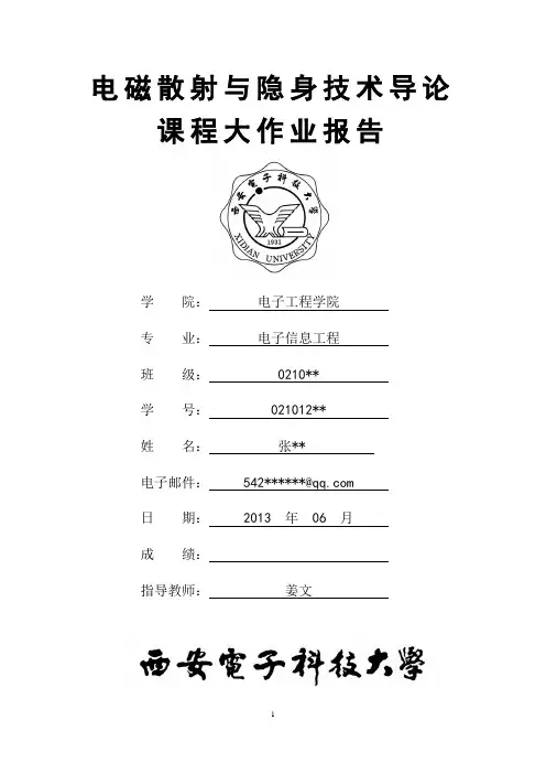 电磁散射大作业