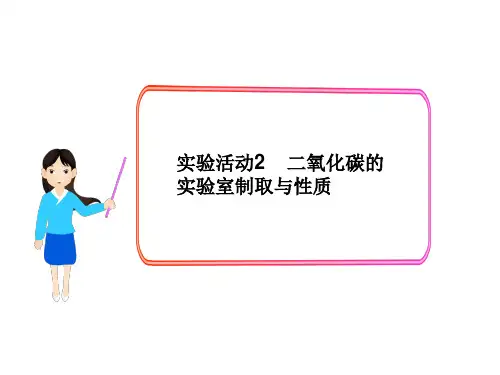 实验活动二氧化碳的实验室制取与性质