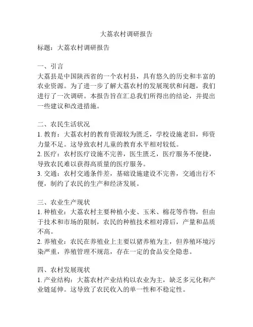 大荔农村调研报告