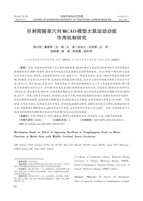 巨刺阳陵泉穴对MCAO模型大鼠运动功能作用机制研究