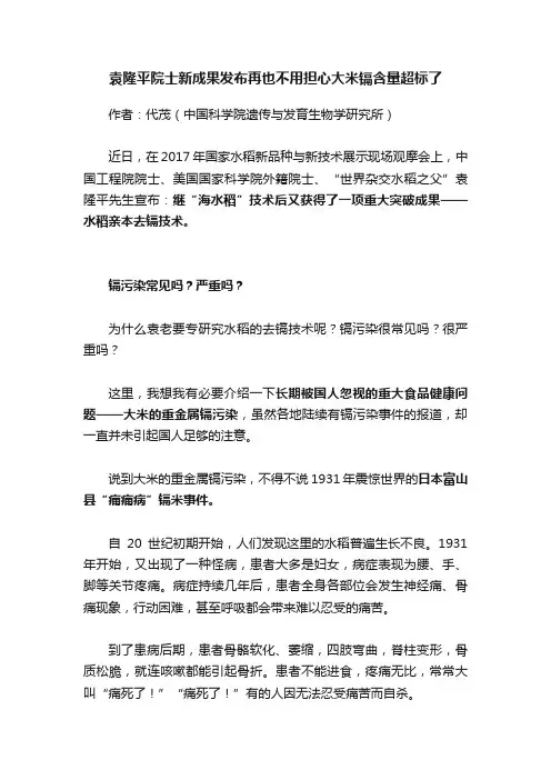 袁隆平院士新成果发布再也不用担心大米镉含量超标了