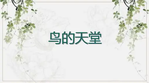 鸟的天堂ppt课件
