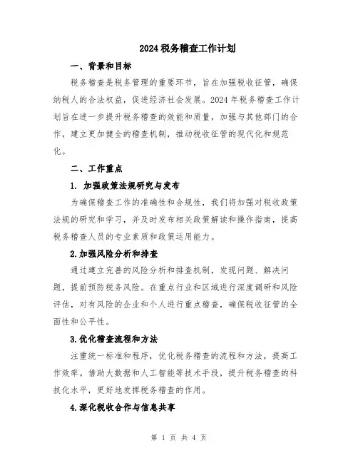 2024税务稽查工作计划