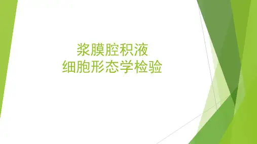 浆膜腔积液细胞形态学检验