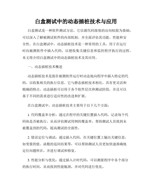 白盒测试中的动态插桩技术与应用