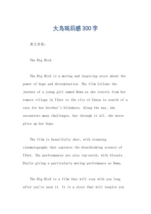 大鸟观后感300字