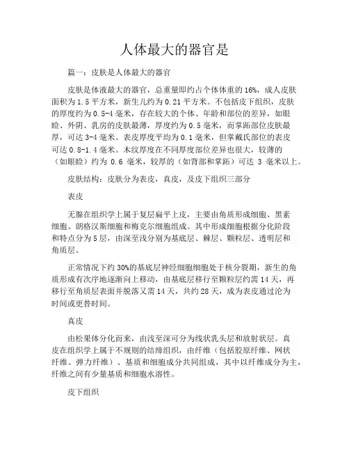 人体最大的器官是