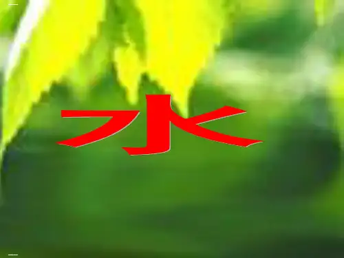 教科版科学三年级上册：水 课件(31张ppt)