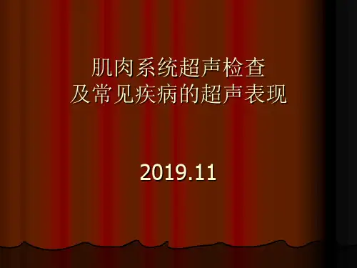 肌肉系统超声检查及常见疾病超声表现ppt课件