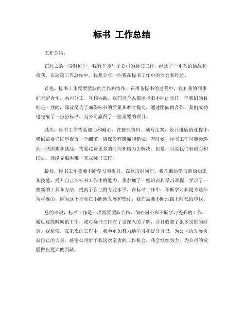 标书 工作总结