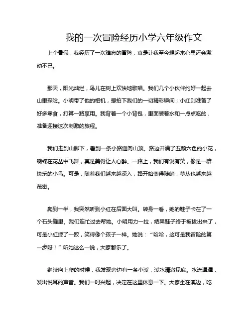 我的一次冒险经历小学六年级作文