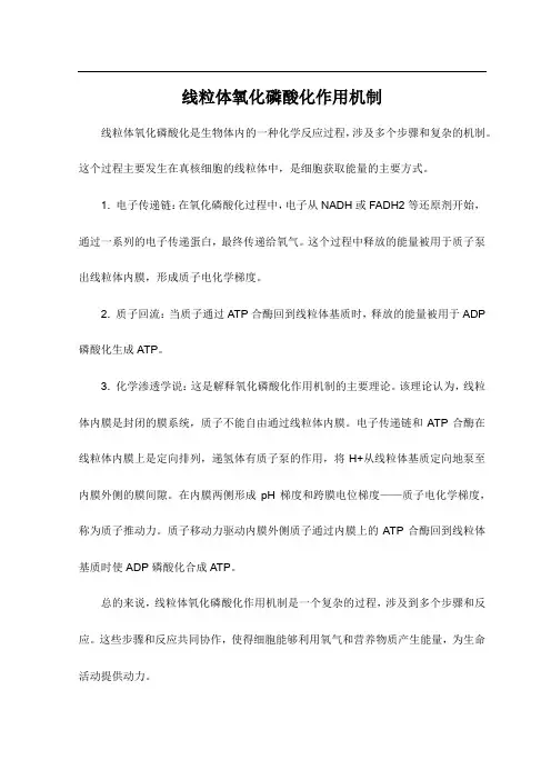 线粒体氧化磷酸化作用机制