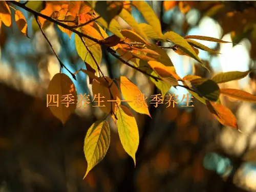 四季养生——秋季养生