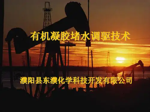 化学选择性堵水