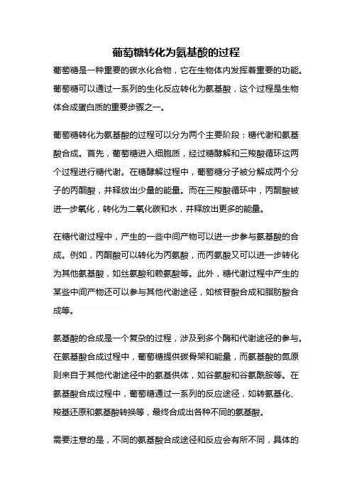 葡萄糖转化为氨基酸的过程