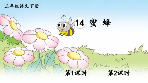 部编版三年级语文下册第14课《蜜蜂》精品课件(共94张PPT)