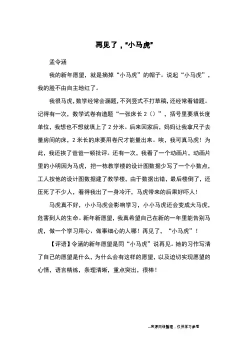 再见了,“小马虎”_优秀作文
