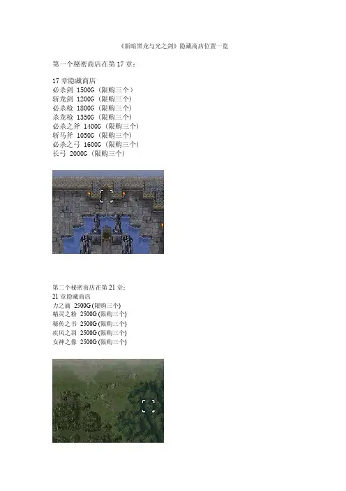 《新暗黑龙与光之剑》隐藏商店位置一览