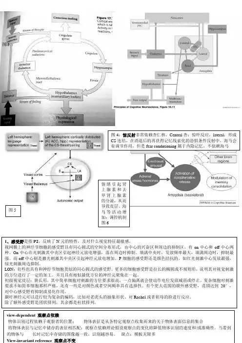 生理心理学笔记终版