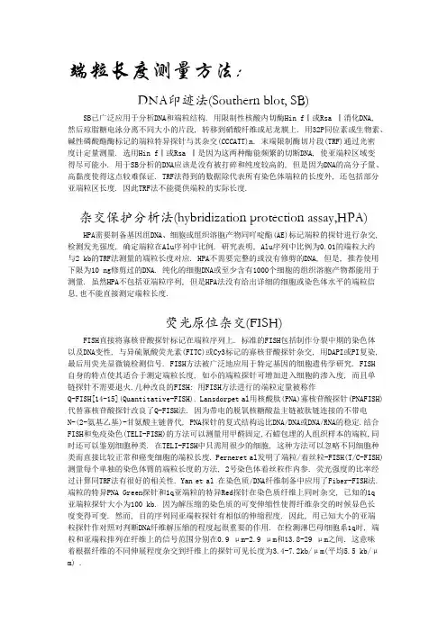 端粒长度测量方法