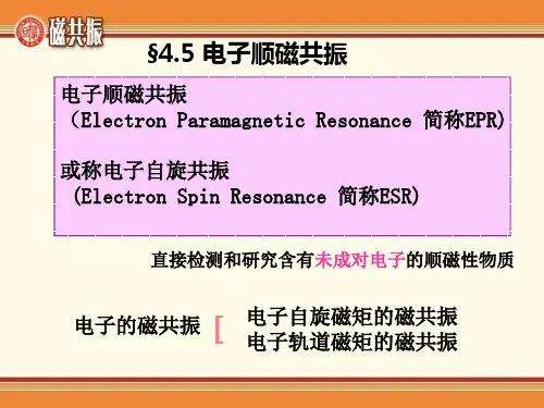 电子顺磁共振(ESR)