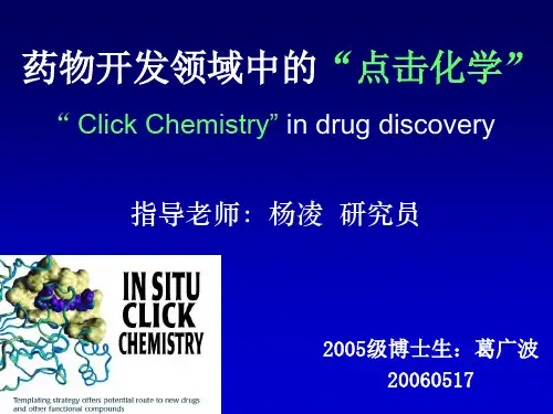 药物开发领域中的“点击化学” “ Click Chemistry” in drug discover