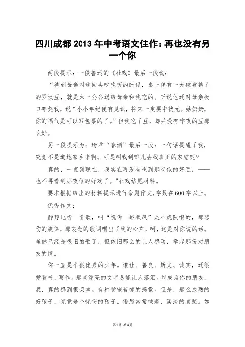 四川成都2013年中考语文佳作：再也没有另一个你_中考作文