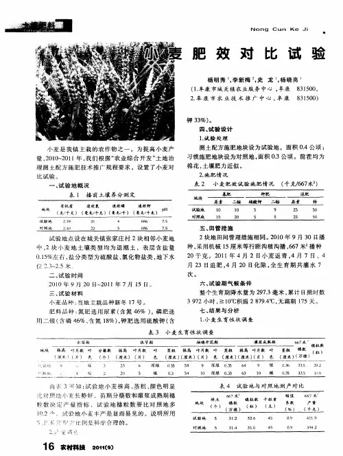 小麦肥效对比试验