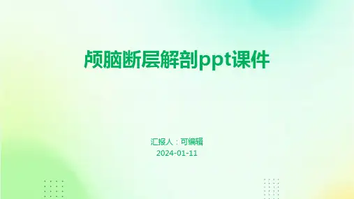 颅脑断层解剖PPT课件