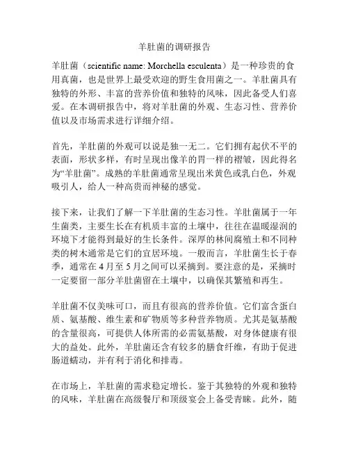 羊肚菌的调研报告