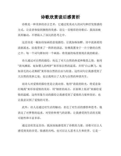 诗歌欣赏读后感赏析