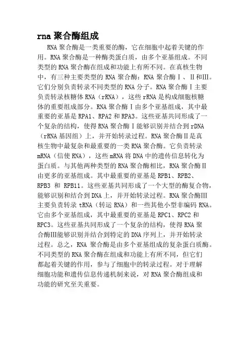 rna聚合酶组成