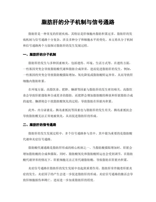 脂肪肝的分子机制与信号通路