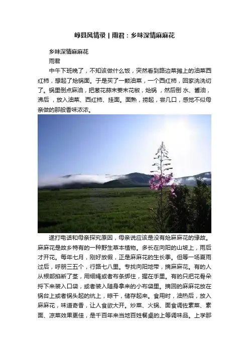 崞县风情录丨雨君：乡味深情麻麻花