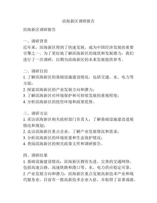 滨海新区调研报告