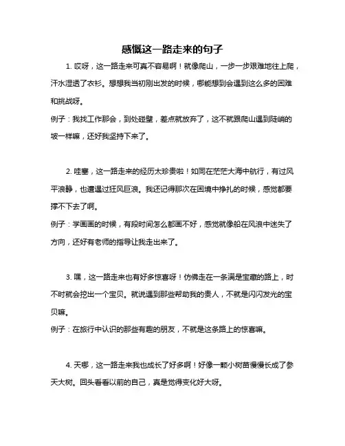 感慨这一路走来的句子