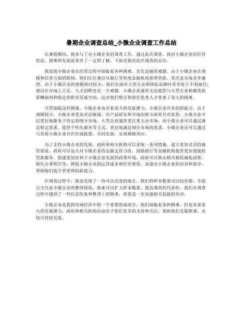 暑期企业调查总结_小微企业调查工作总结