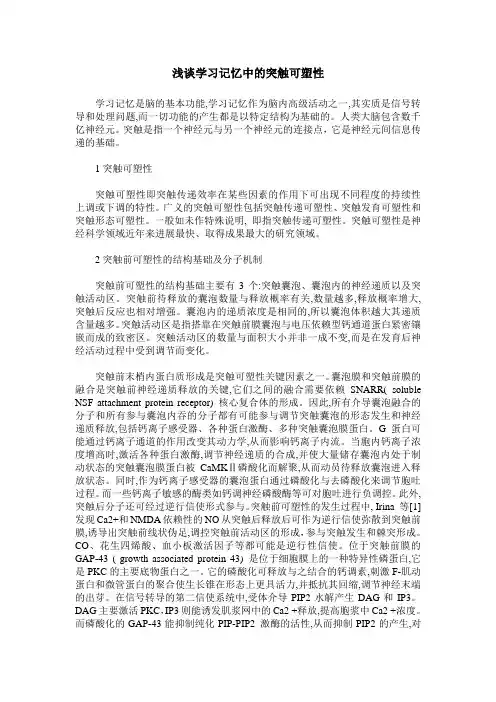 浅谈学习记忆中的突触可塑性
