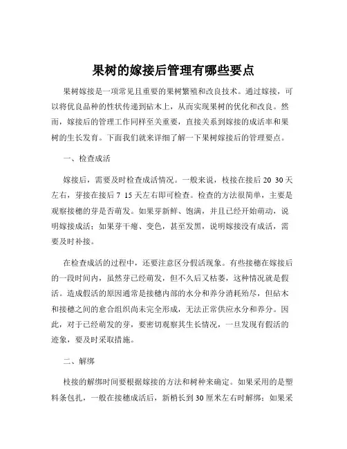 果树的嫁接后管理有哪些要点